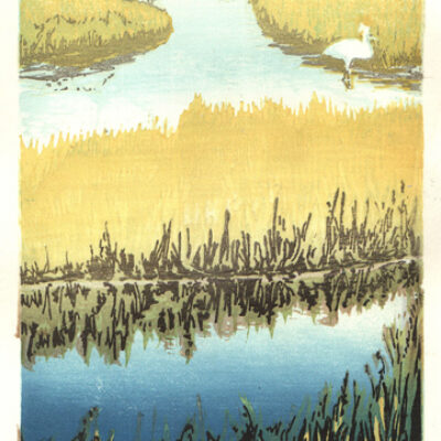 Egret