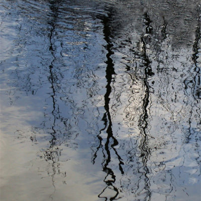 Reflection North Branch River