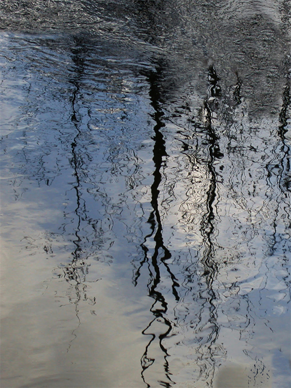 Reflection North Branch River