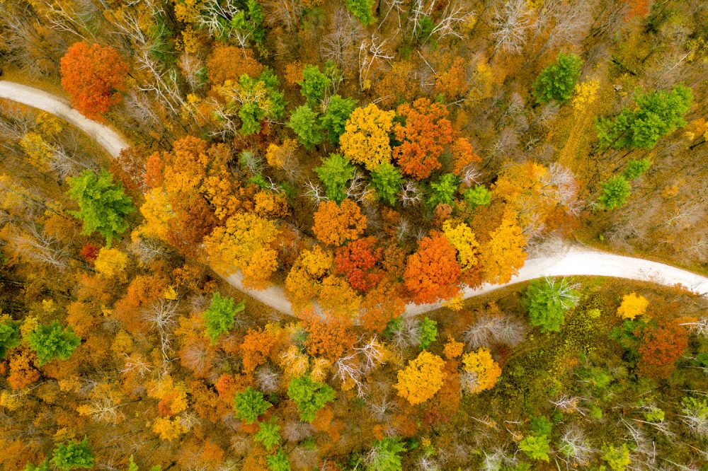 Caleb Kenna - Fall Foliage in Sudbury, Vermont
