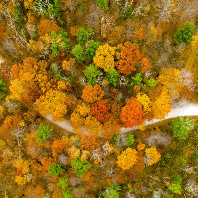 Caleb Kenna - Fall Foliage in Sudbury, Vermont