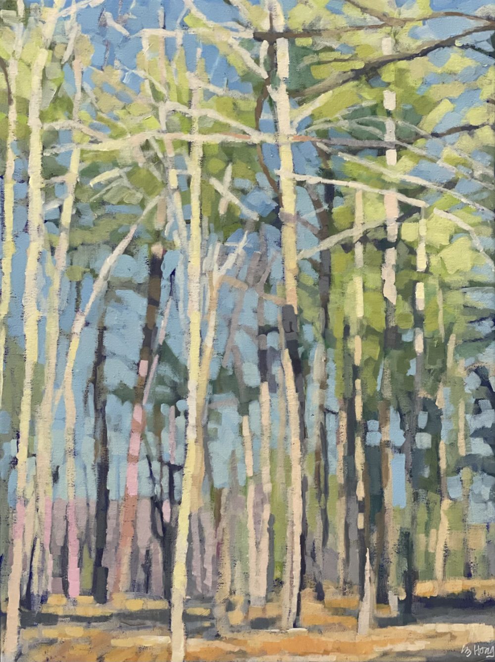Liz Hoag - On the Trail