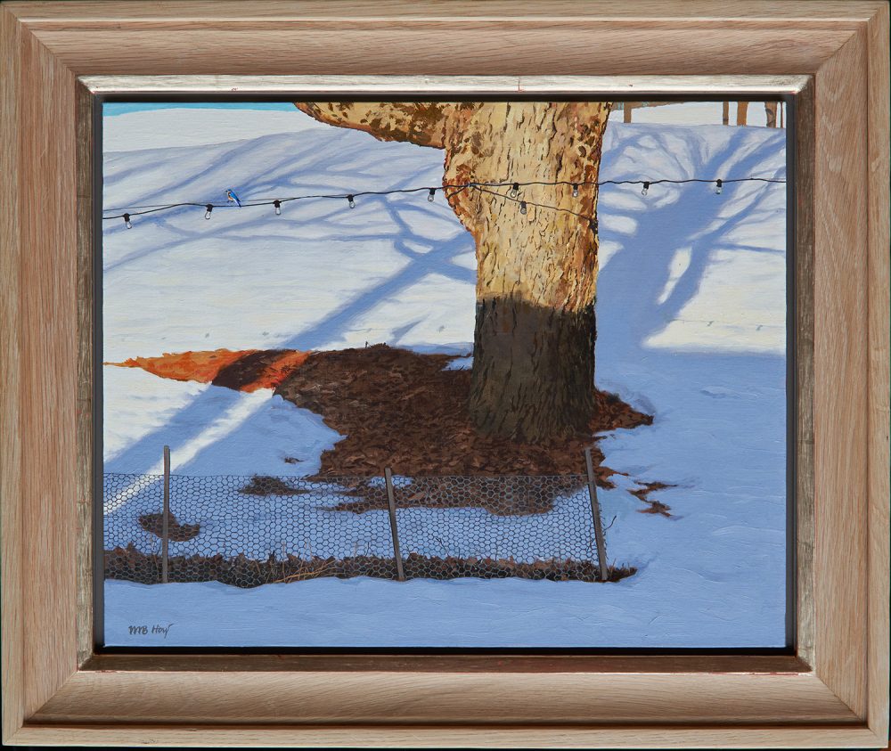 William Hoyt - Bluebird Day