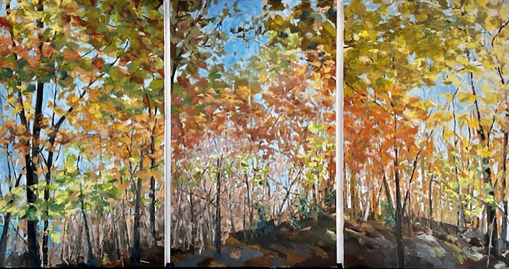 Molly Doe Wensberg - Triptych 3 Panels
