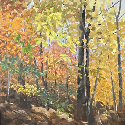 Molly Doe Wensberg - Walk in the Woods Autumn Flicker
