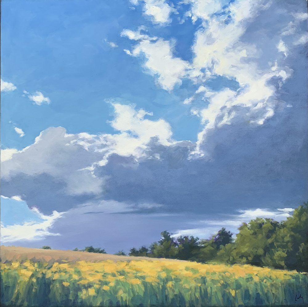 Margaret Gerding - Hill at Shelburne Farm