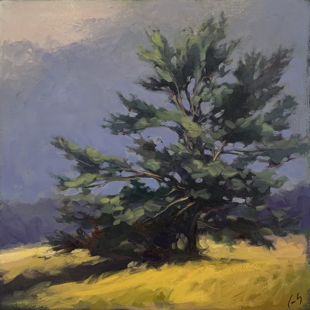 Margaret Gerding - Spring Pine