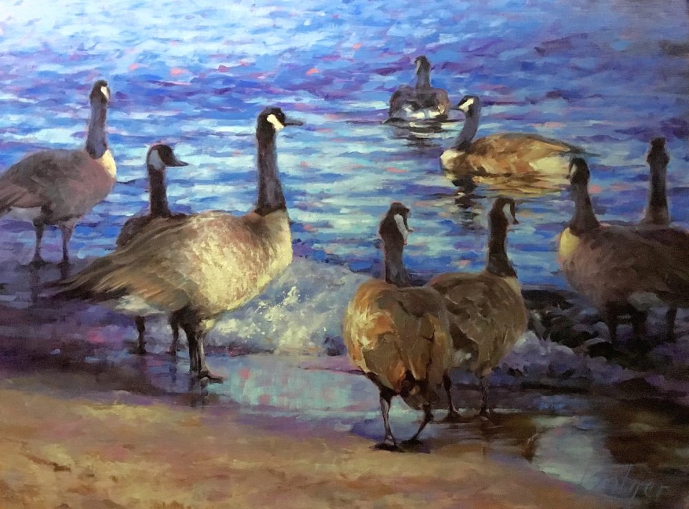 Joe Bolger - Canadian Geese