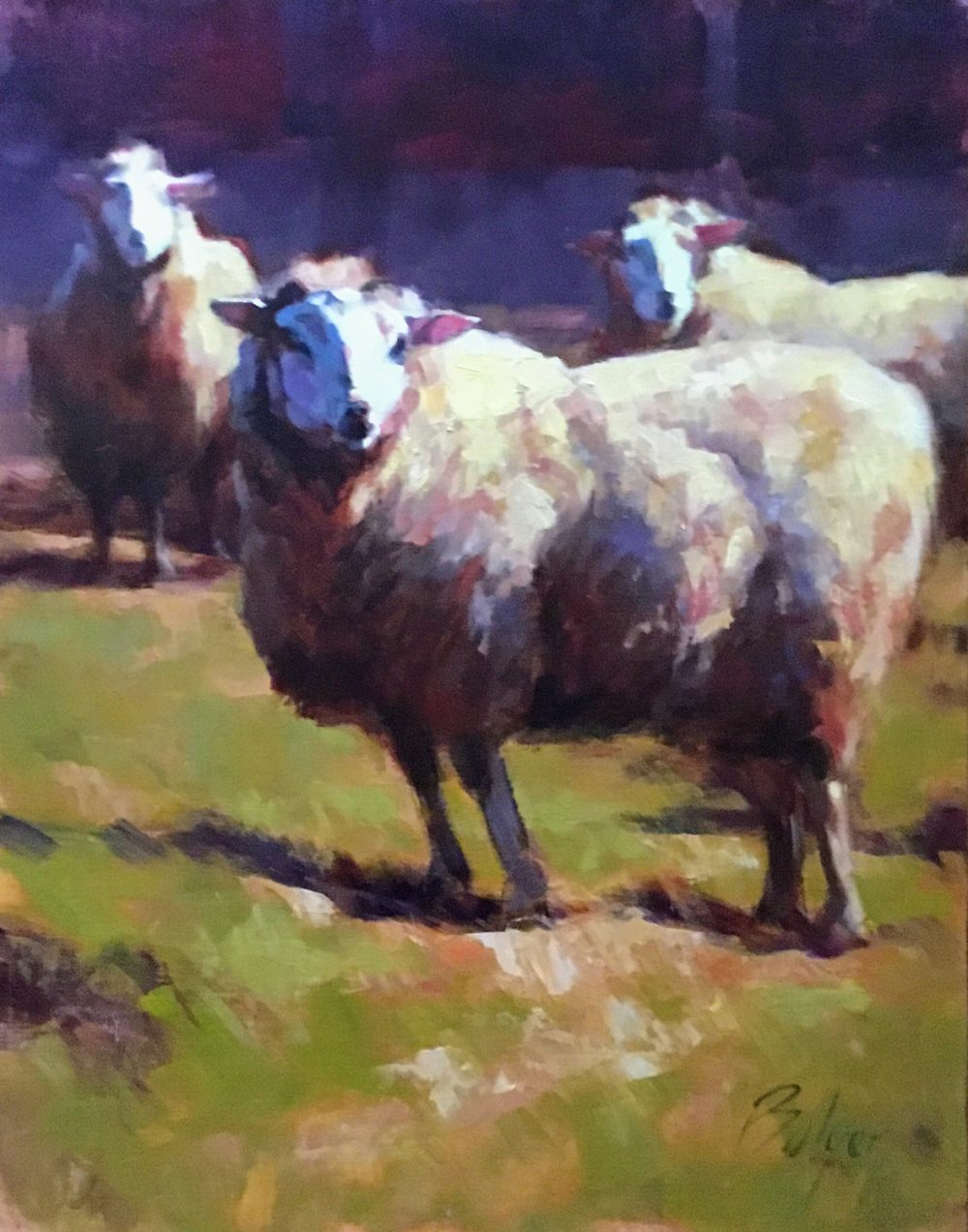 Joe Bolger - Sheep in April