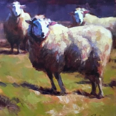 Joe Bolger - Sheep in April