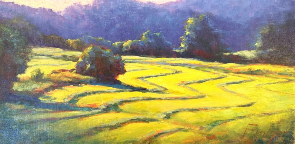 Joe Bolger - The Striped Landscape