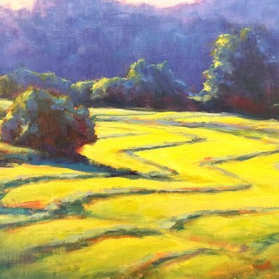Joe Bolger - The Striped Landscape