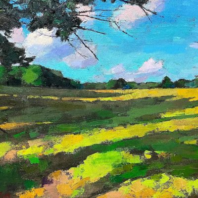 Larry Horowitz - Summer Shadows