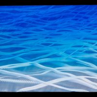 Deep Blue Homer Wells - Deep Blue