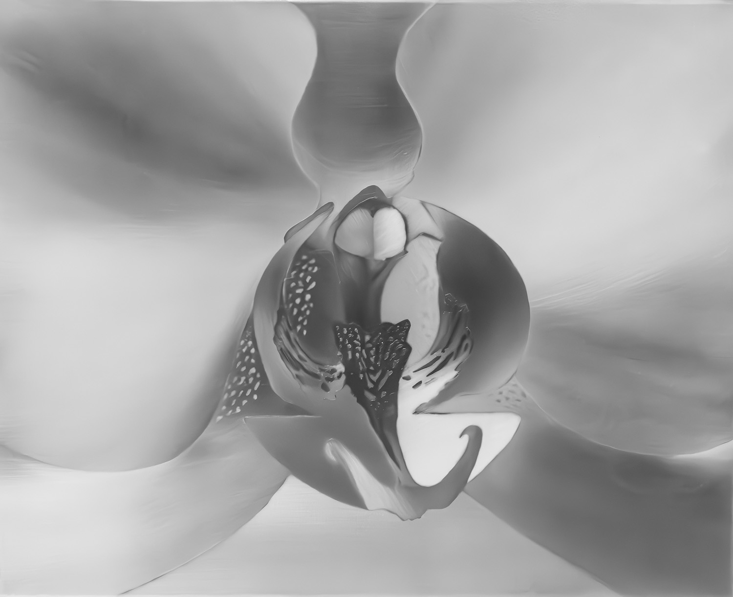 Homer Wells - Orchid Study