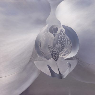 Homer Wells - Silver Orchid