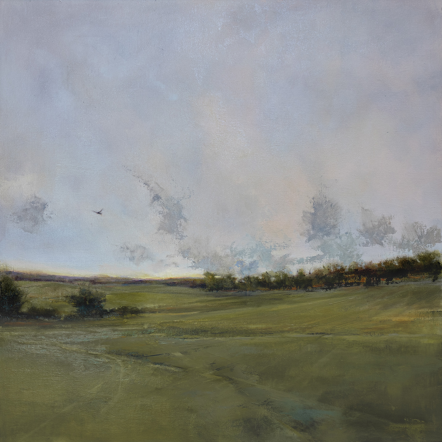 Bonnie Baird - Freedom
