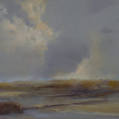 Bonnie Baird - Mutable Land