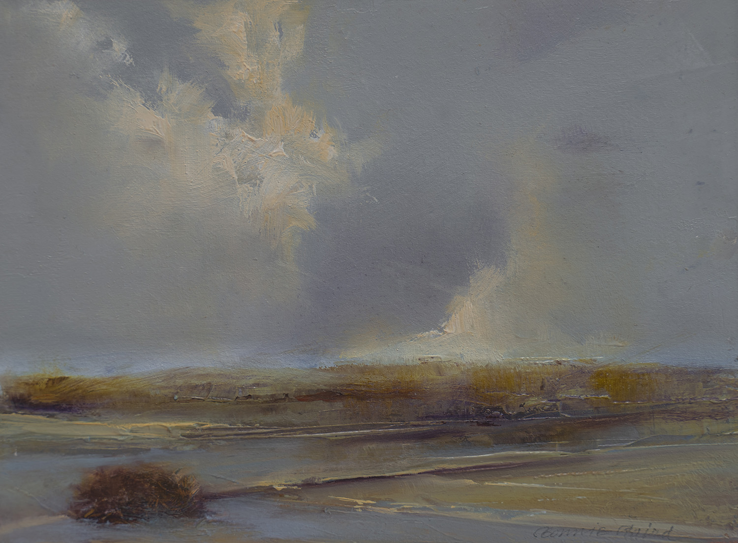 Bonnie Baird - Mutable Land