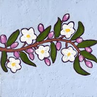 Apple Blossoms Marcia Crumley - Apple Blossoms
